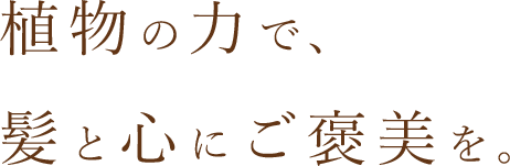 植物の力で、髪と心にご褒美を。